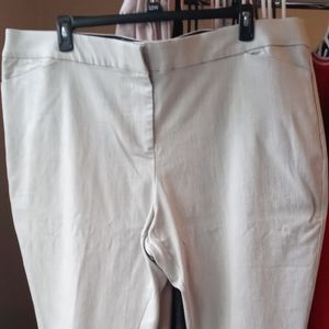 EVRI Women's Plus Size Dress Pants